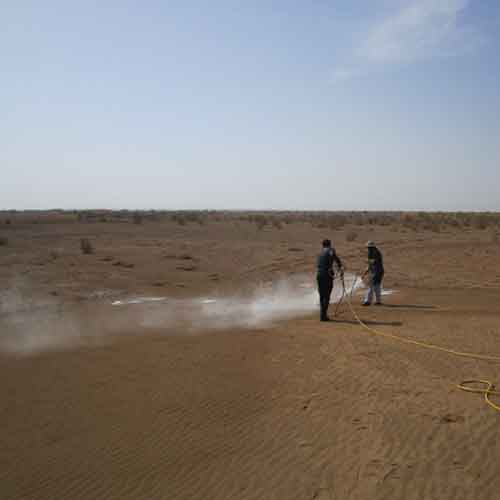 زرگان مالچ
